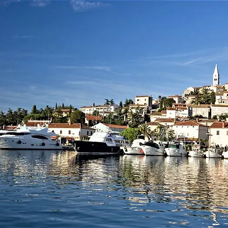 Quaint In Sveti Lovrec Pazenaticki With Swimming Pool Villa *